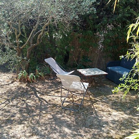 Chalet Agreable, A Proximite Du Centre Historique, Golf Academy Villeneuve-lès-Avignon Dış mekan fotoğraf